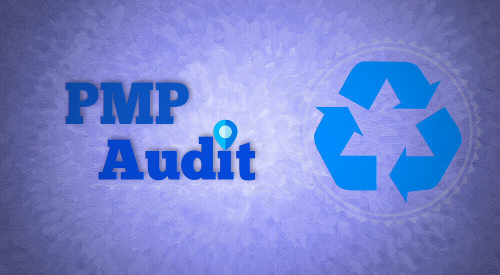 Short Guide PMP Audit Process